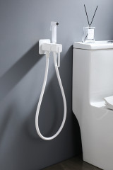 Смеситель с гигиеническим душем GANZER GZ12157-F, скрытый монтаж, белый