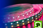Лента светодиодная LUX, 5050, 120 LED/м, 28,8 Вт/м, 24В, IP33, RGB + холодный белый (RGB+6000K)