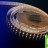 Лента светодиодная LUX, 5050, 120 LED/м, 28,8 Вт/м, 24В, IP33, Теплый белый + холодный белый (3000-6000K)