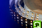 Лента светодиодная LUX, 5050, 120 LED/м, 28,8 Вт/м, 24В, IP33, Теплый белый + холодный белый (3000-6000K)