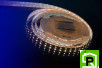 Лента светодиодная LUX, 5050, 120 LED/м, 28,8 Вт/м, 24В, IP33, Теплый белый + холодный белый (3000-6000K)