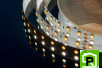 Лента светодиодная LUX, 5050, 120 LED/м, 28,8 Вт/м, 24В, IP33, Теплый белый + холодный белый (3000-6000K)