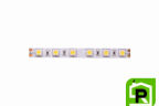 Лента со скотчем 3М светодиодная стандарт 5050, 60 LED/м, 14,4 Вт/м, 24В , IP20, Цвет: Нейтральный белый