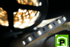 Лента со скотчем 3М светодиодная стандарт 5050, 60 LED/м, 14,4 Вт/м, 24В , IP20, Цвет: Теплый белый + холодный белый