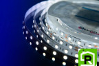 Лента светодиодная LUX, 5050, 60 LED/м, 14,4 Вт/м, 12В, IP33, Холодный белый (6000K)