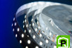 Лента светодиодная LUX, 5050, 60 LED/м, 14,4 Вт/м, 12В, IP33, Холодный белый (6000K)