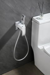Смеситель с гигиеническим душем GANZER GZ44157-F, скрытый монтаж, белый