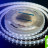Лента светодиодная LUX, 5050, 60 LED/м, 14,4 Вт/м, 12В, IP65, Холодный белый (6000K)