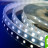 Лента светодиодная LUX, 5050, 60 LED/м, 14,4 Вт/м, 12В, IP65, Холодный белый (6000K)