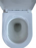 Инсталляция Grohe 38772001 + унитаз Keramastar KR104021PT безободковый торнадо с сиденьем