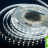 Лента светодиодная LUX, 5050, 60 LED/м, 14,4 Вт/м, 24В, IP33, Холодный белый (6000K)