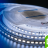 Лента светодиодная LUX, 5730, 120 LED/м, 26,8 Вт/м, 24В, IP33, Холодный белый (6000K)