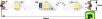 Лента светодиодная стандарт 2835, 60 LED/м, 9 Вт/м, 12В , IP20, Цвет: Ультра холодный белый