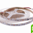 Лента светодиодная стандарт 315, 60 LED/м, 4,8 Вт/м, 12В , IP20, Цвет: Теплый белый
