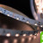 Лента светодиодная стандарт 315, 60 LED/м, 4,8 Вт/м, 12В , IP20, Цвет: Теплый белый