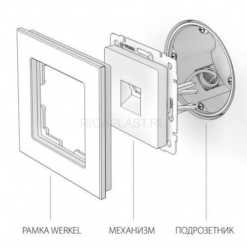 Розетка Ethernet RJ-45 Werkel (шампань рифленый) W1181010