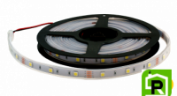 5050-30 LED IP65 12В 6000K
