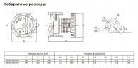 Насос циркуляционный Shinhoo MEGA S 65-12F 220В