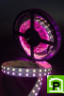 Лента светодиодная стандарт 5050, 120 LED/м, 28,8 Вт/м, 24В , IP20, Цвет: RGB + теплый белый