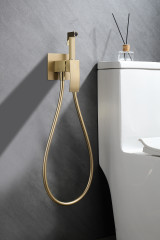 Смеситель с гигиеническим душем GANZER GZ44157-S, скрытый монтаж, матовое золото