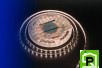Лента светодиодная LUX, 2835, 60 LED/м, 7,2 Вт/м, 12В, IP33, Теплый белый (3000K)