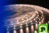 Лента светодиодная LUX, 2835, 60 LED/м, 7,2 Вт/м, 12В, IP33, Теплый белый (3000K)