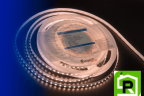 Лента светодиодная LUX, 3528, 120 LED/м, 9,6 Вт/м, 12В, IP33, Теплый белый (2700K)