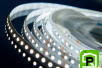 Лента светодиодная LUX, 3528, 120 LED/м, 9,6 Вт/м, 12В, IP33, Холодный белый (6000K)