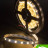 Лента светодиодная эконом 2835, 60 LED/м, 4,8 Вт/м, 12В , IP20, Цвет: Теплый белый