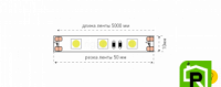 Лента светодиодная эконом 5050, 60 LED/м, 14,4 Вт/м, 12В , IP20, Цвет: Зеленый