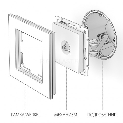 ТВ-розетка проходная Werkel (слоновая кость) W1184003