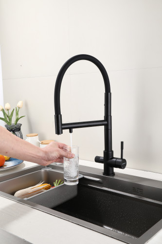 Смеситель для кухни HansenPRO HL15090-C, с подключением к фильтру, с гибким изливом, черный