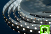 Лента светодиодная LUX, 3528, 60 LED/м, 4,8 Вт/м, 12В, IP33, Холодный белый (6000K)