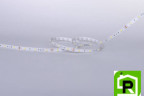 Лента со скотчем 3М светодиодная стандарт 5050, 30 LED/м, 7,2 Вт/м, 12В , IP20, Цвет: Холодный белый